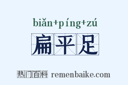 扁平足是什么意思的图片